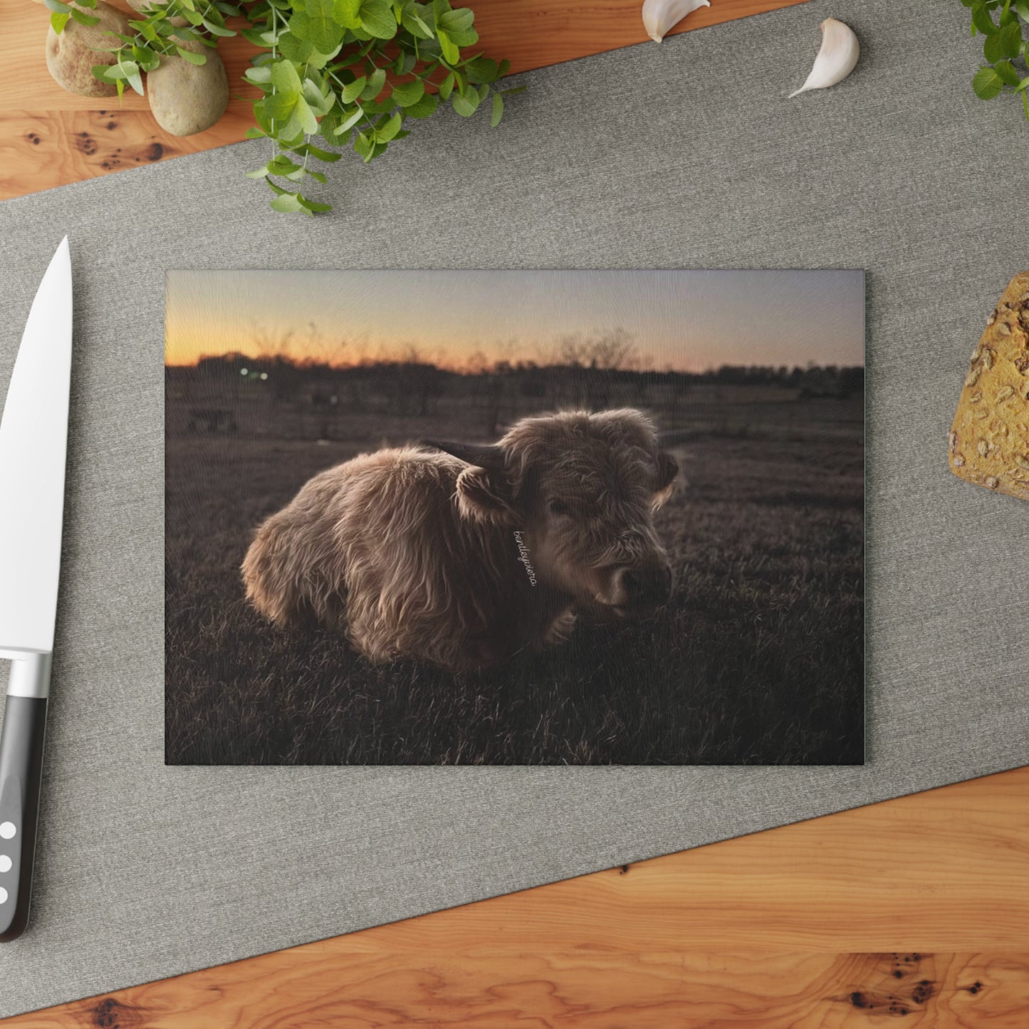 Highland Cow Sunset Glass Cutting Board — Rustic Farmhouse Kitchen Decor