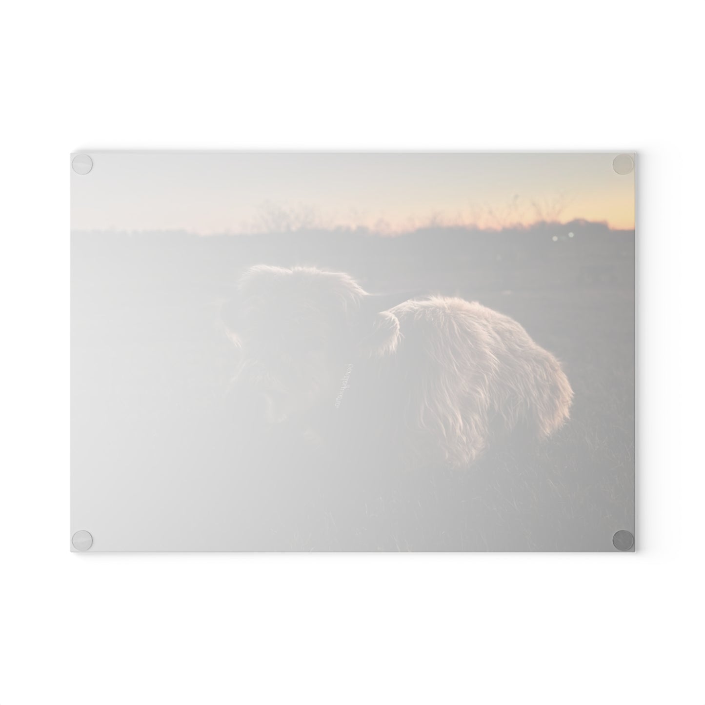Highland Cow Sunset Glass Cutting Board — Rustic Farmhouse Kitchen Decor