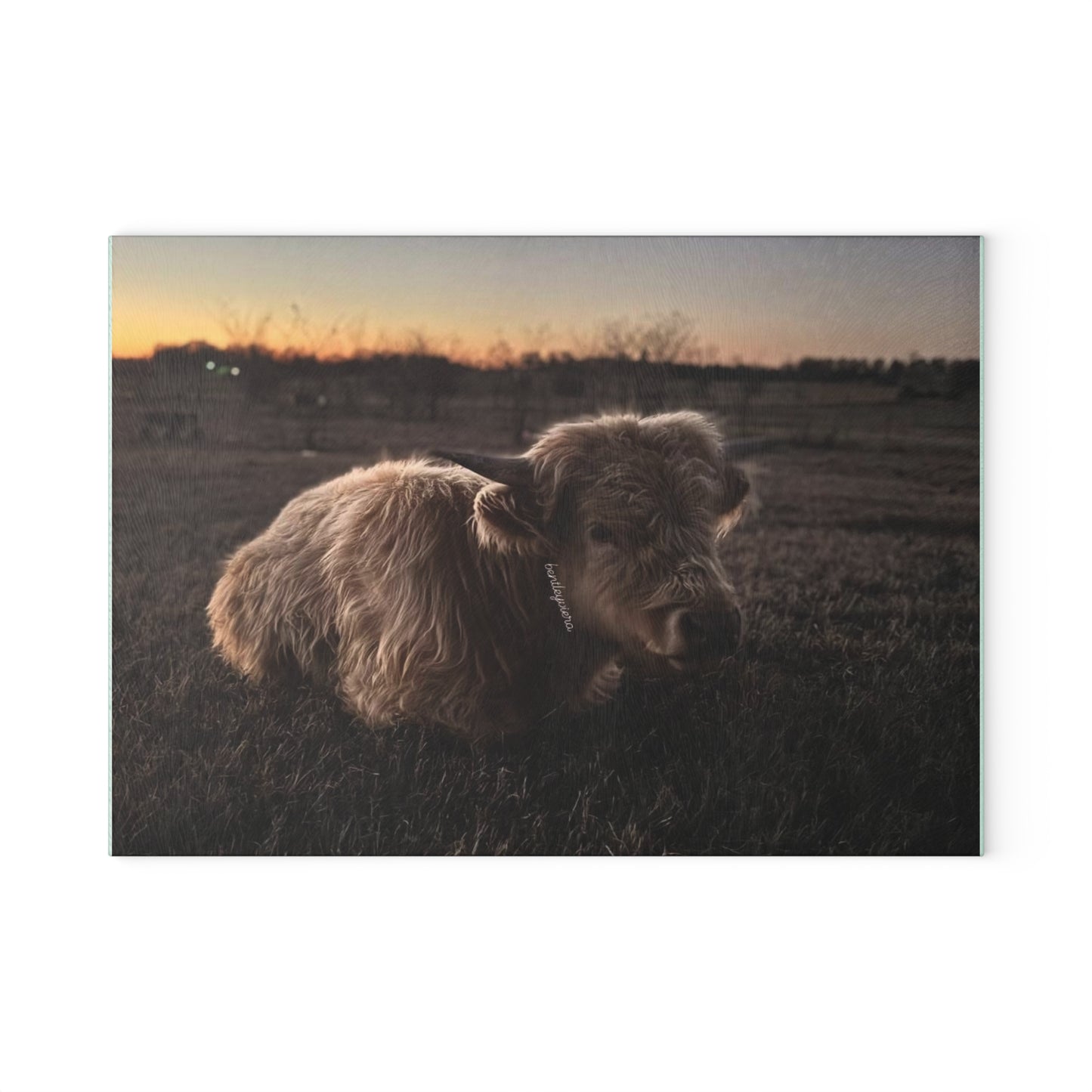 Highland Cow Sunset Glass Cutting Board — Rustic Farmhouse Kitchen Decor