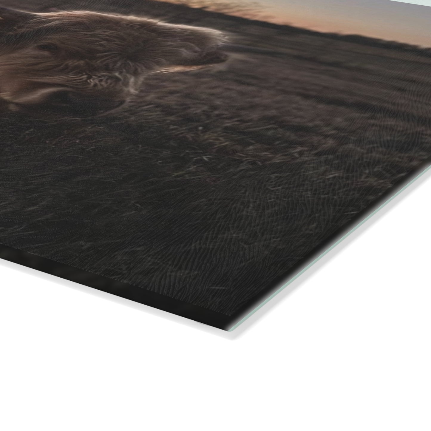 Highland Cow Sunset Glass Cutting Board — Rustic Farmhouse Kitchen Decor